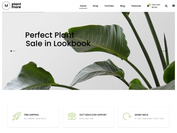Plant - 2