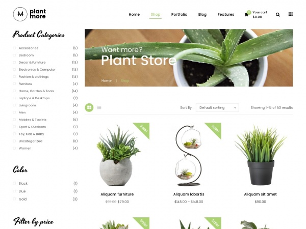 Plant - 6